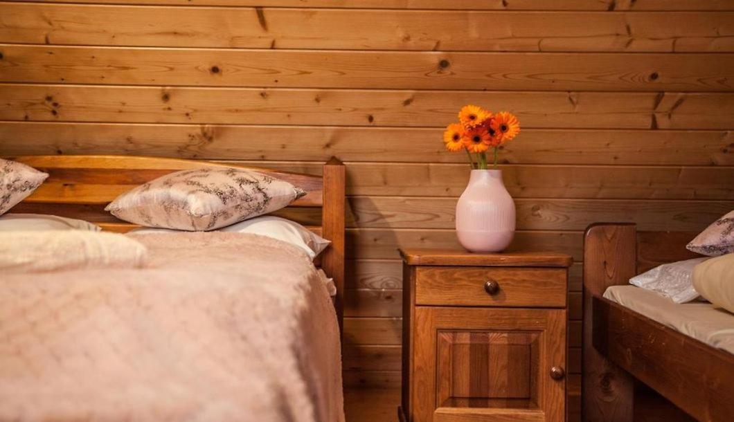 Kominkowa Willa Zakopane Dış mekan fotoğraf